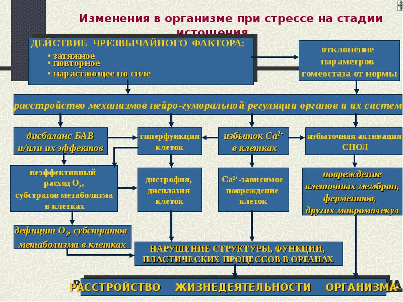 Адаптационный синдром презентация