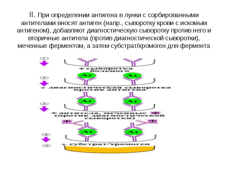Выявление антигена. Определение антител в сыворотке. Определение антител в сыворотке крови больного. Антигены определение. Диагностические сыворотки и антигены.