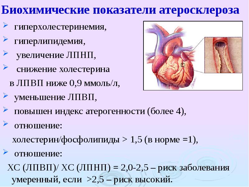 Смешанная гиперлипидемия что это за заболевания у человека фото с описанием