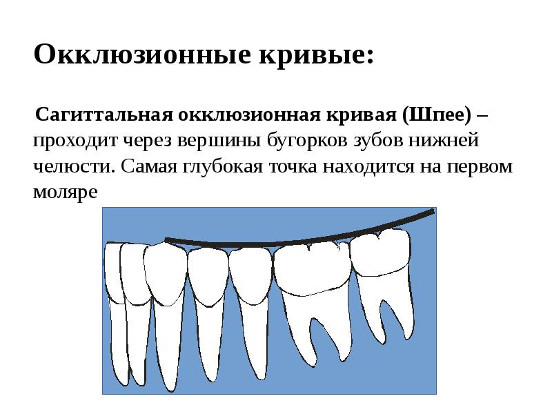 Ключи окклюзии по эндрюсу