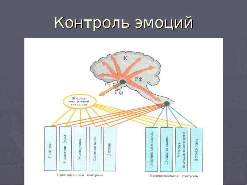 Психофизиология эмоций презентация