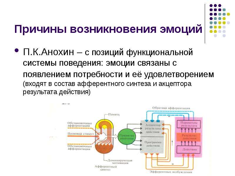 Физиологические основы эмоций презентация