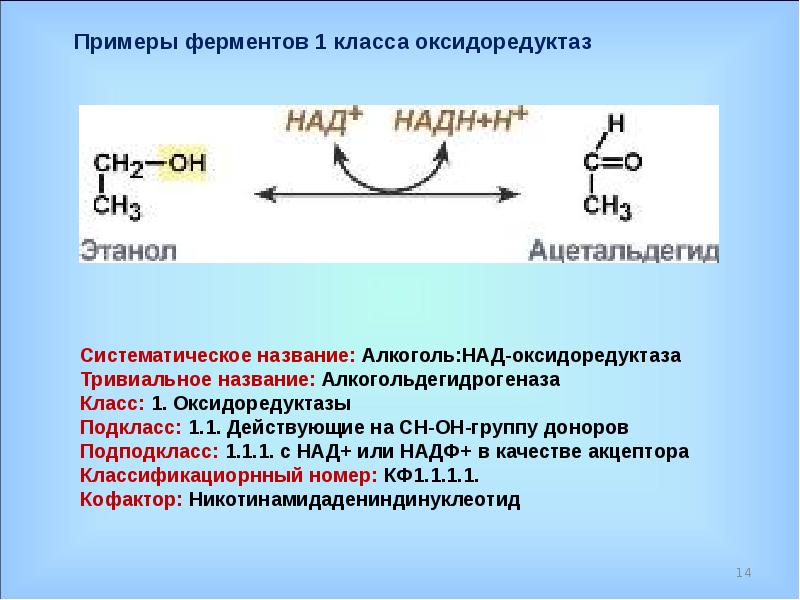 Ферменты примеры реакций. Реакции ферментов. Реакции с участием ферментов. Общая схема действия ферментов. Оксидазы катализируют реакции.