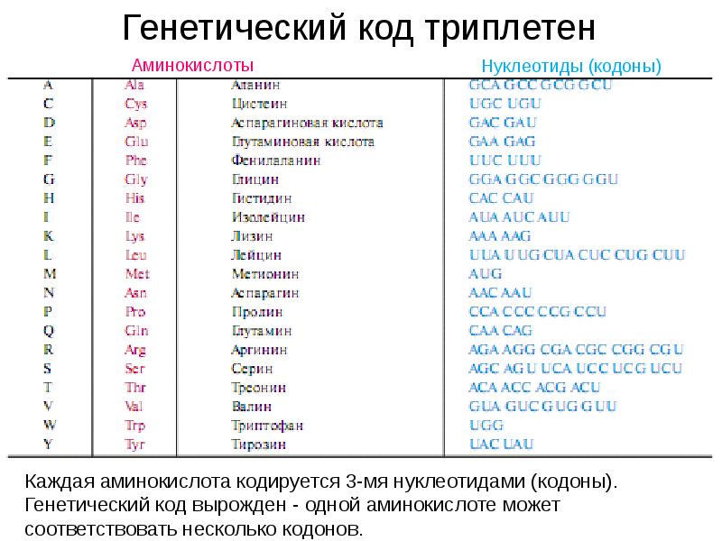 Код генетический фото