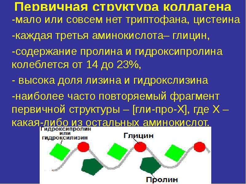 Презентация по биохимии биохимия соединительной ткани