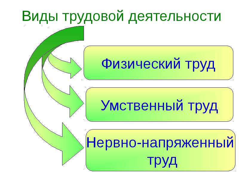 Вид рабочей деятельности. Формы и условия трудовой деятельности. Физические формы трудовой деятельности. Виды трудовой деятельности школьников. Виды трудовой деятельности на практике.