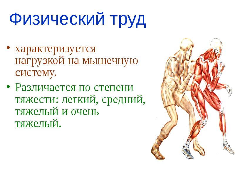 Работаю физически. Физический труд. Физический труд характеризуется. Физиология физического труда. Физический труд человека.