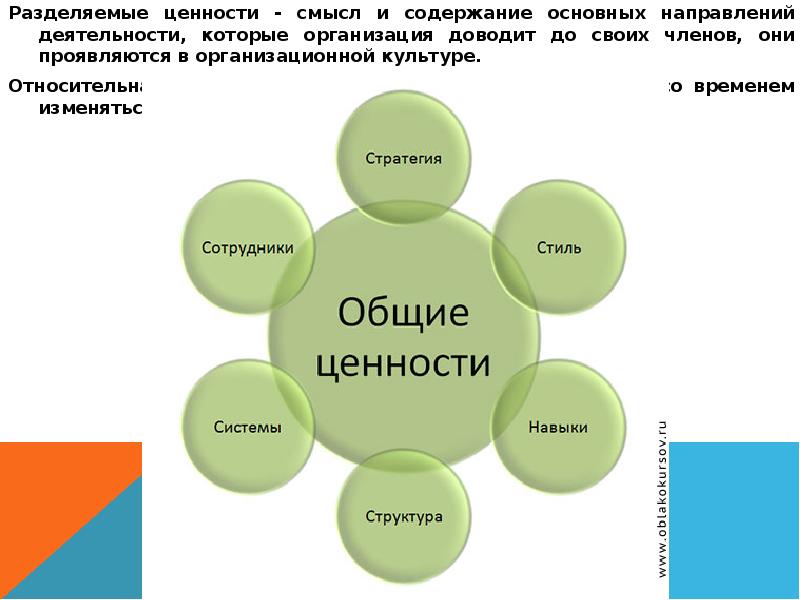 Какие бывают ценности проекта