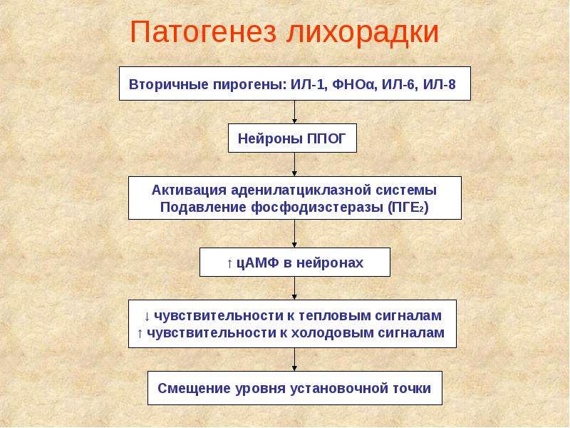 Лихорадка патофизиология презентация