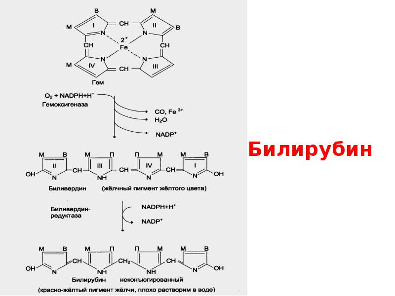 Схема реакции конъюгации билирубина