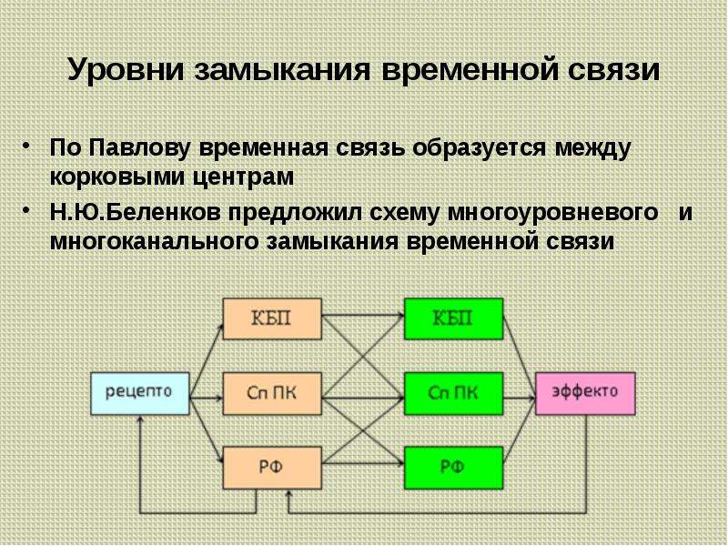 Существующие связи. Механизм формирования и замыкания временных связей. Механизм формирования временной связи. Механизмы образования временной связи физиология. Механизм образования временной связи по Павлову.