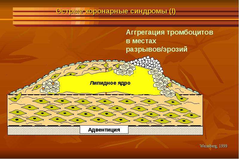 Ландшафтная терапия презентация