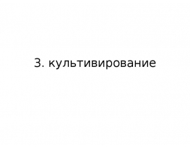Кинетика периодического культивирования без добавления питательного субстрата