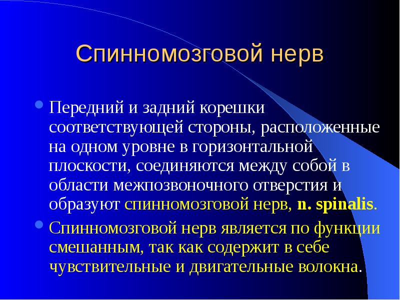 Комбинированный функции. МЕЖОБОЛОЧЕЧНЫЕ пространства спинного мозга. Оболочки и МЕЖОБОЛОЧЕЧНЫЕ пространства спинного мозга.