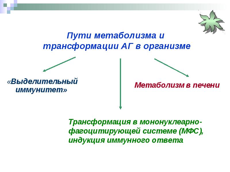 Обмен веществ и иммунитет. Выделительный иммунитет. Иммунная система и обмен веществ. Индукция иммунного ответа.