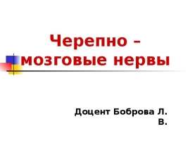 Черепно – Мозговые Нервы