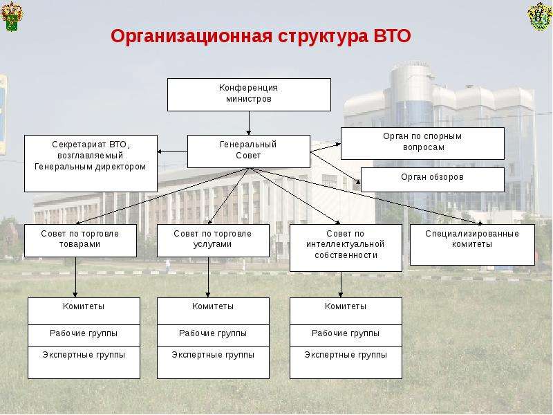 Используя рисунок 64 назовите основные тенденции развития мировой торговли