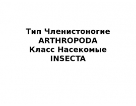 Тип Членистоногие ARTHROPODA Класс Насекомые INSECTA