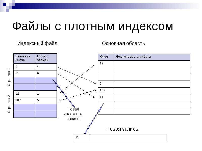 Формат базы данных. Плотный индекс базы данных. Файловые базы данных. Форматы баз данных. Типы файлов БД.