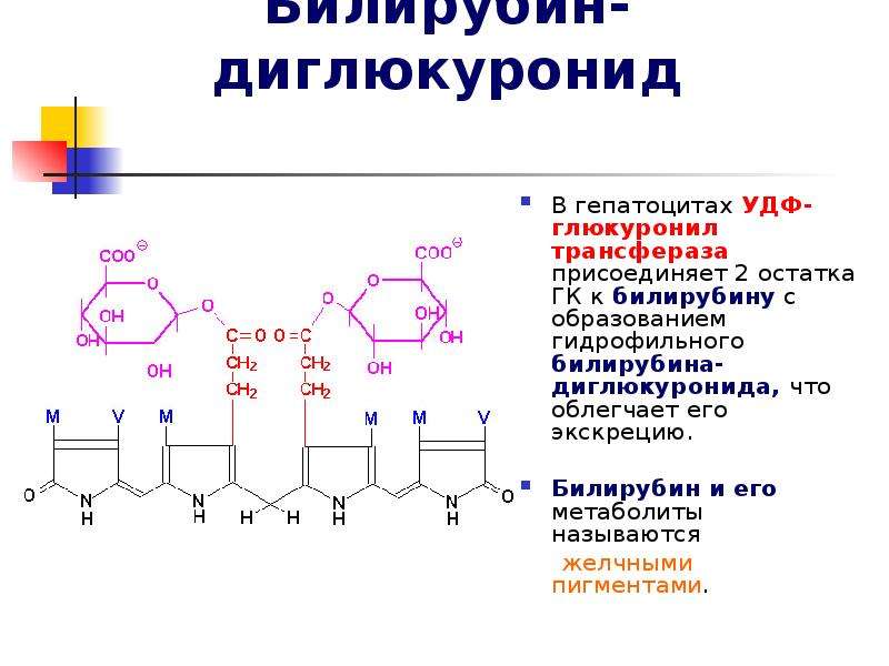 Схема реакции конъюгации билирубина