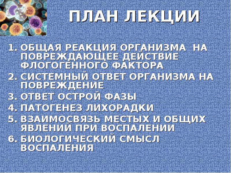 Реакции организма человека