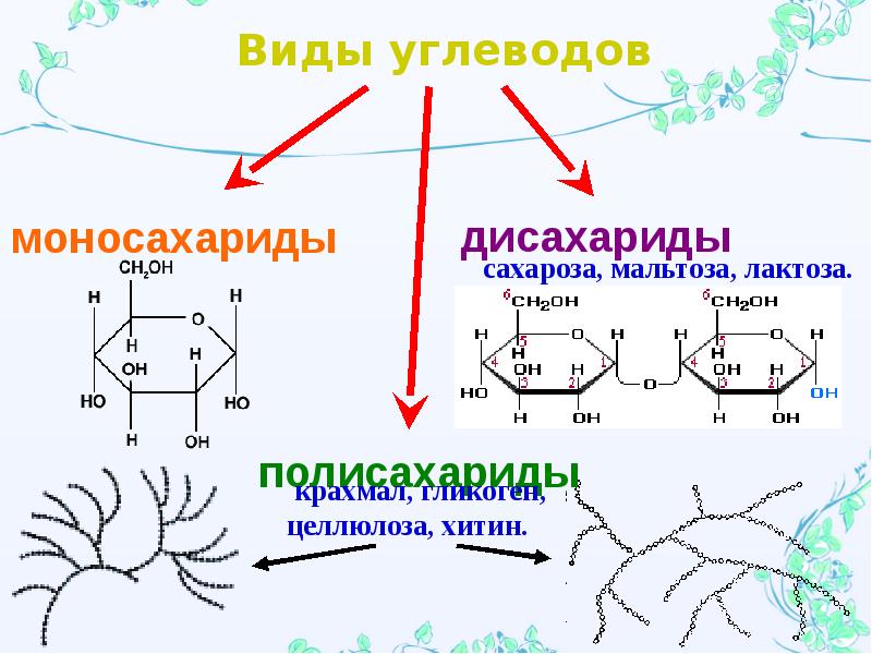 Углеводы моно