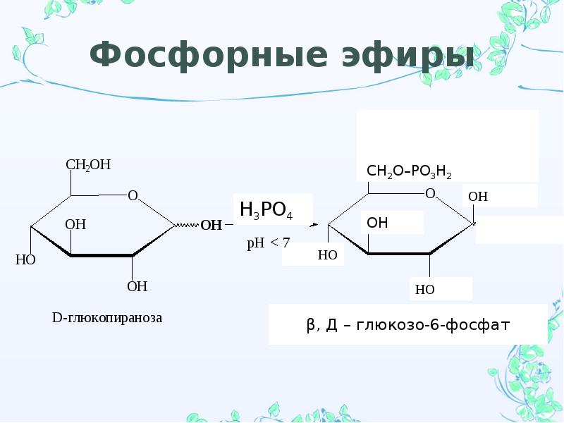 Углеводы моно