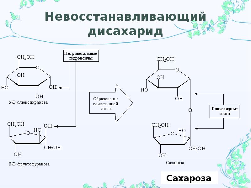 Из каких растений выделяют сахарозу составьте схему