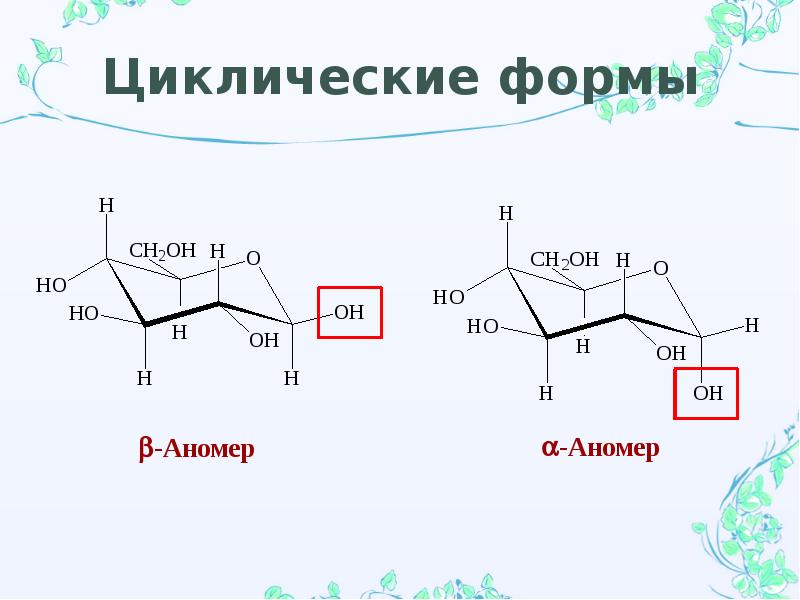 Циклические формы музыки примеры. Циклические формы углеводов. Ациклическая форма Глюкозы. Сахароза открытая форма. Циклические формы музыки.