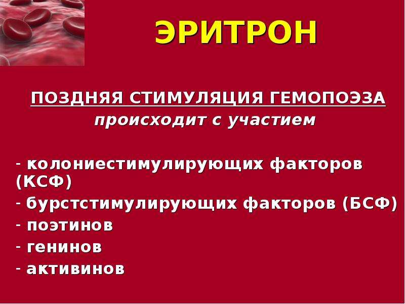 Эритрон. Эритрон патофизиология. Колониестимулирующие факторы. Эритрон клетки. Система эритрона.