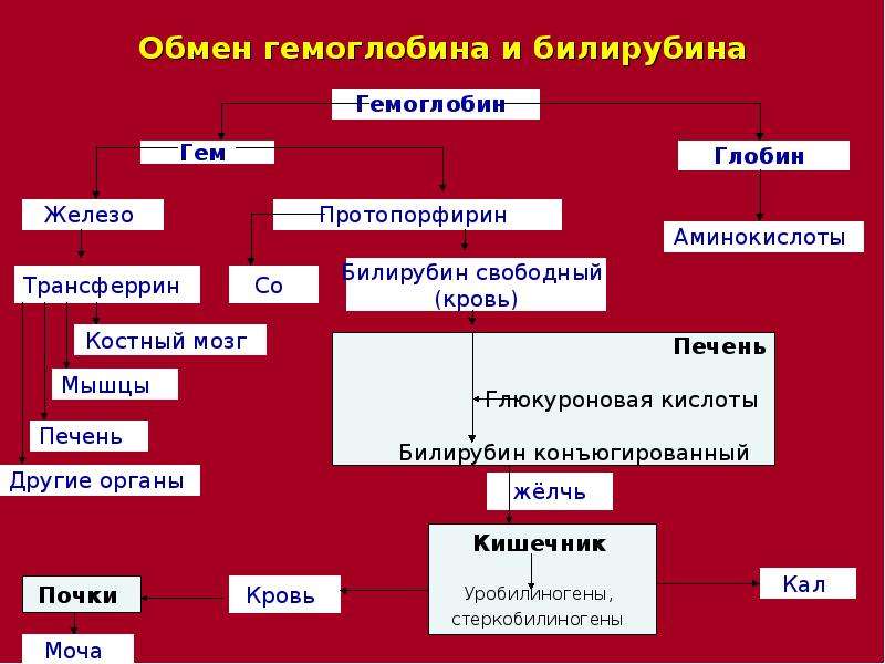 Анемии патофизиология презентация