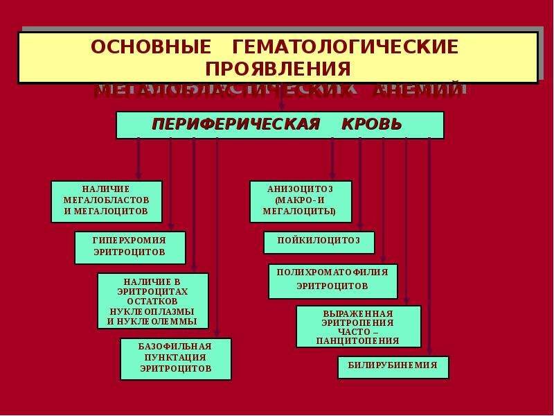 Анемии патофизиология презентация