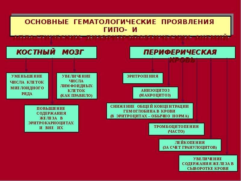 Патофизиология системы крови презентация