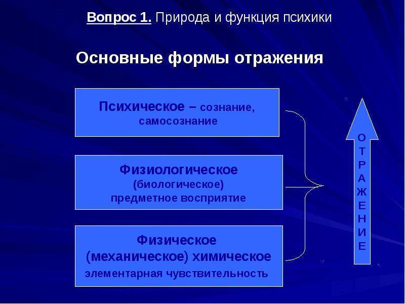 Функции природы. Формы отражения в философии. Формы психического отражения. Формы отражения в психологии. Основные формы отражения психики.