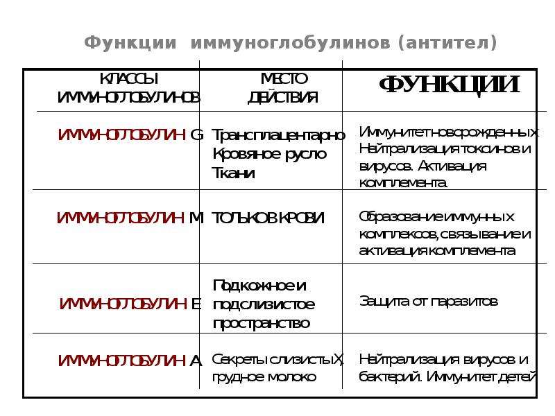 Воспаление и иммунитет презентация