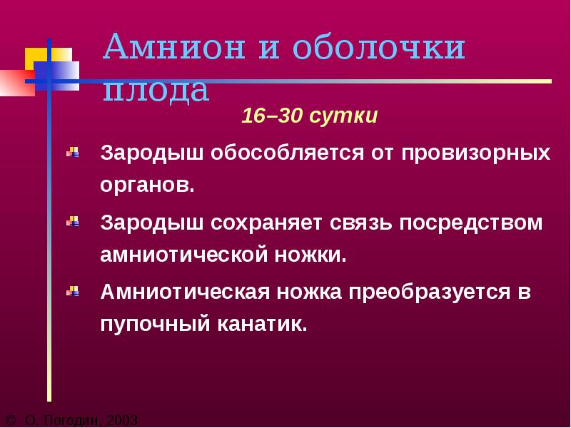 Оболочка плода 6 букв