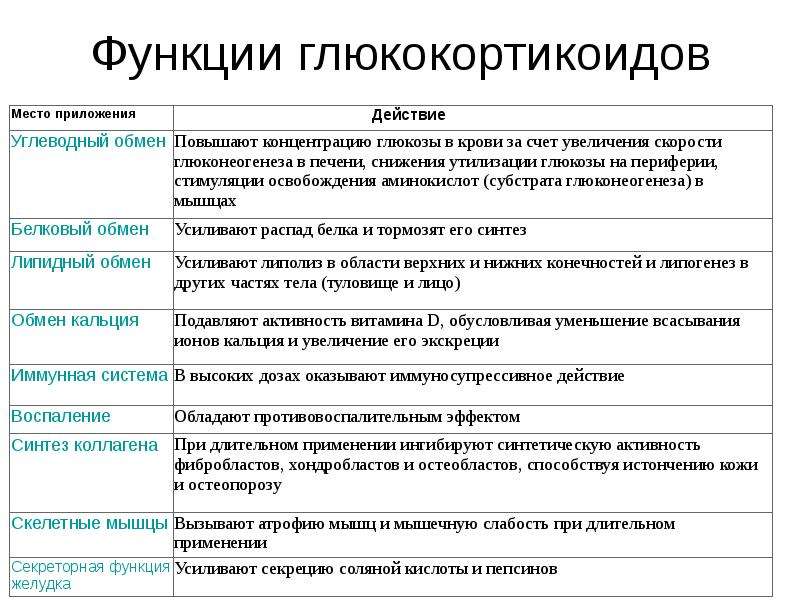 Гормоны и их функции проект