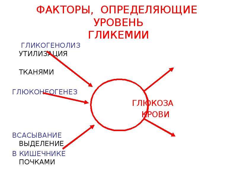 Факторы определяющие уровень. Факторы определяющие всасывание. Гликогенолиз гликемия.