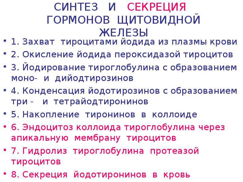 Синтез тиреоидных гормонов схема