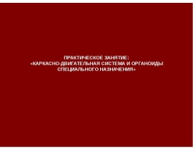 Каркасно-двигательная система и органоиды специального назначения