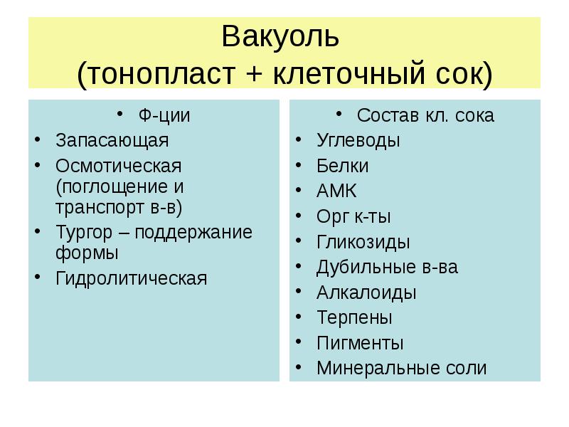 Клеточный сок растительной клетки. Тонопласт вакуоли. Химический состав клеточного сока вакуолей. Вакуоль состав клеточного сока. Вещества, входящие в состав клеточного сока.