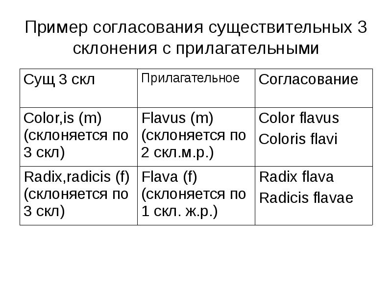 Категории имени существительного в латинском языке