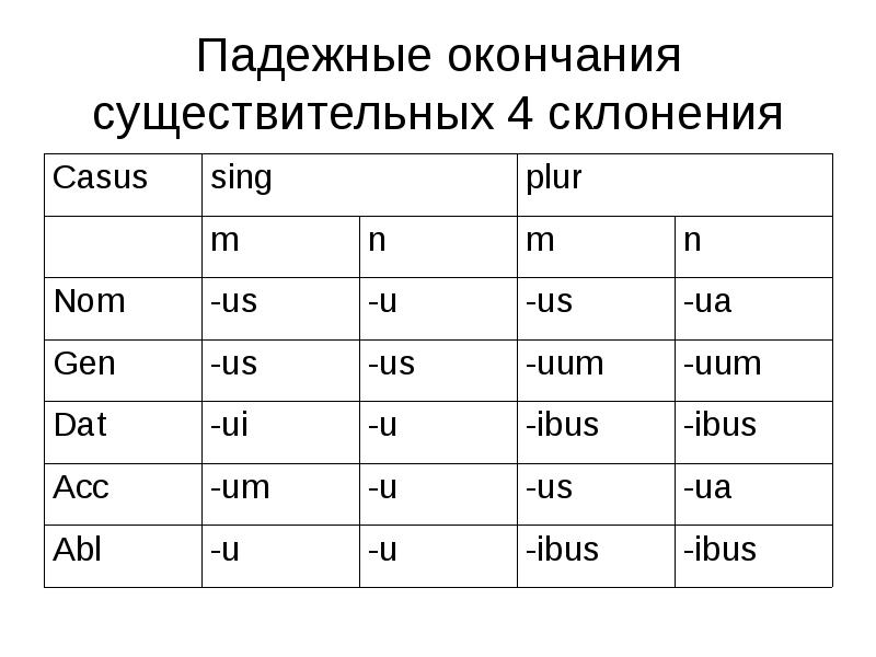 Второе склонение существительных в латинском языке