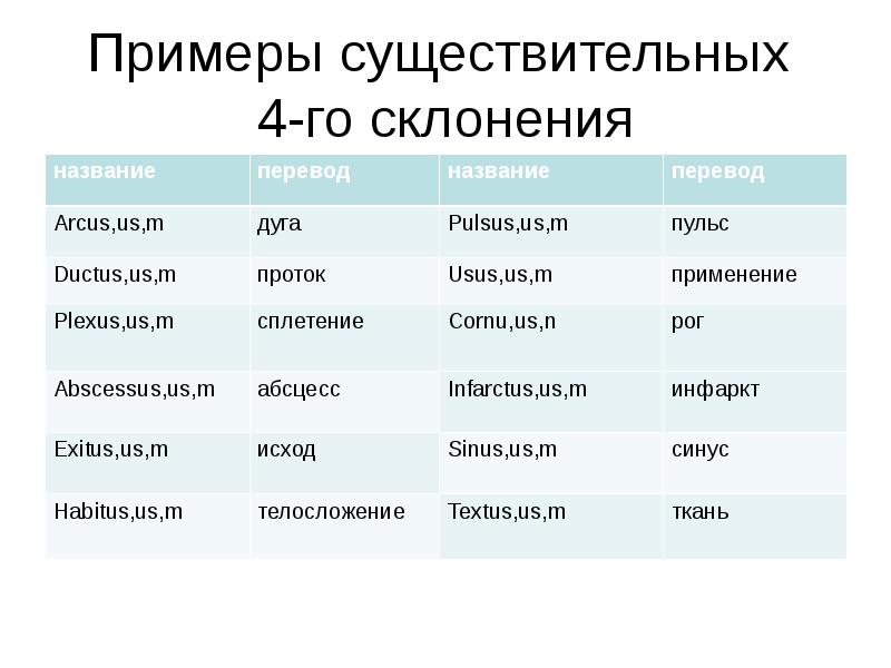 Основы существительных латынь