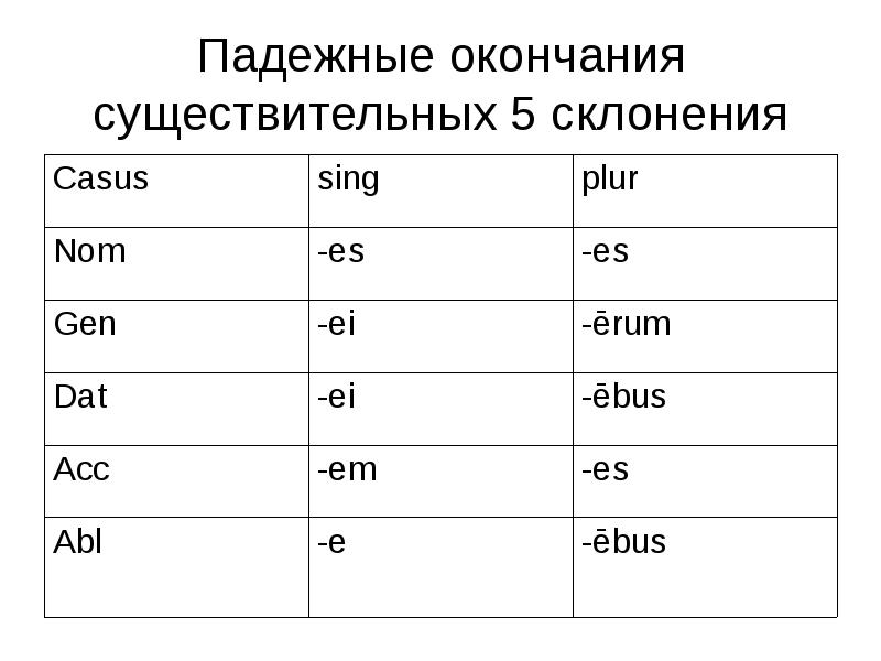 Правила склонений в латинском языке