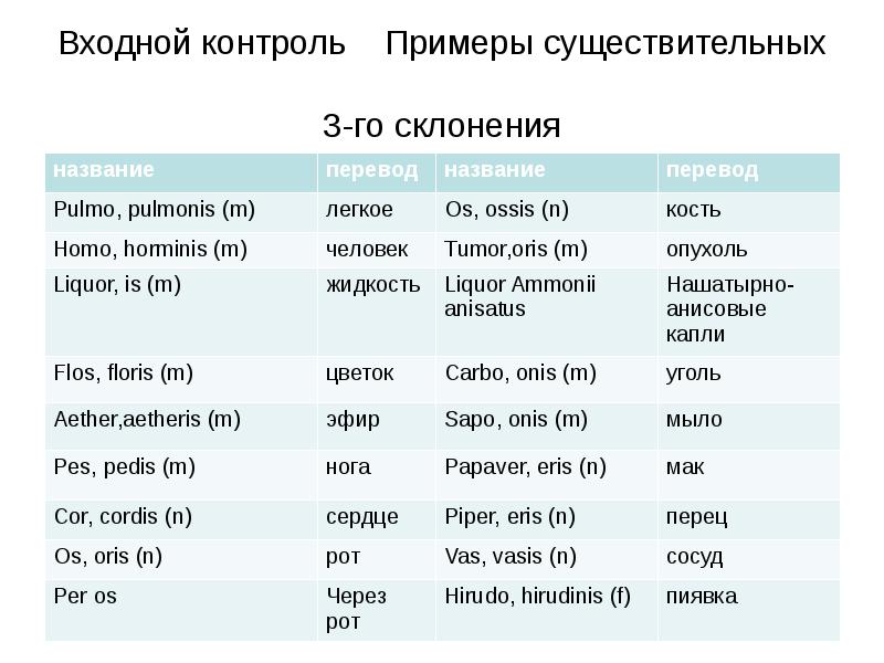 Категории имени существительного в латинском языке