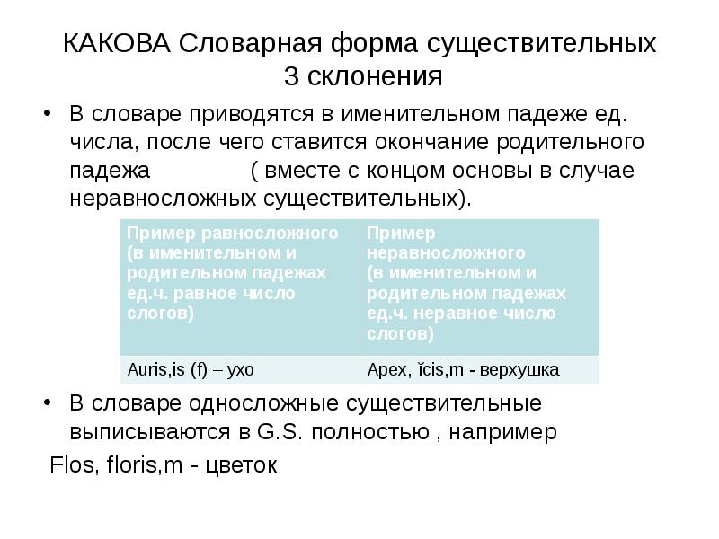 Словарная форма в латинском