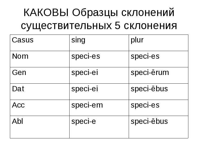 Просклонять по падежам латинские слова