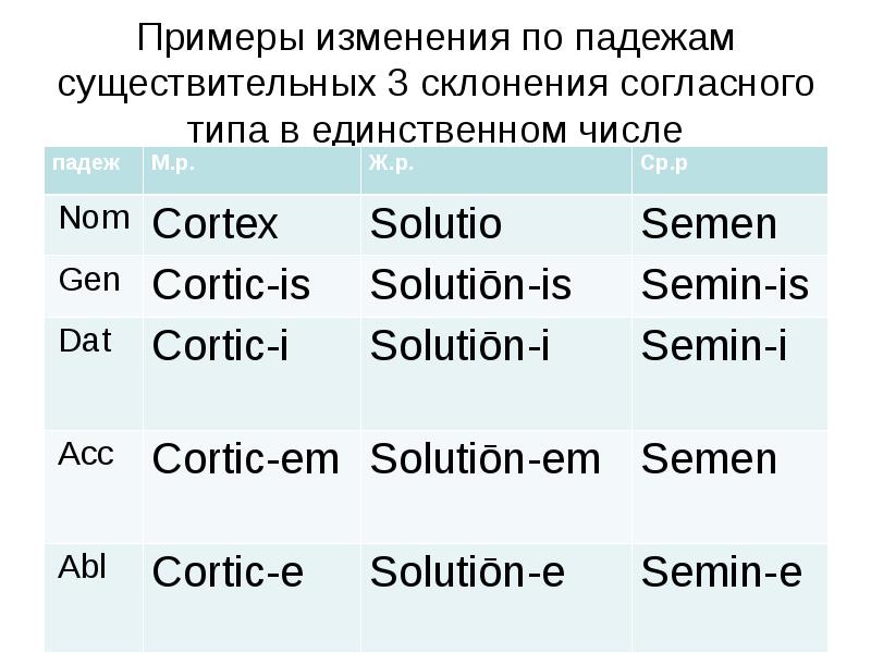 Латинский язык склонения тест