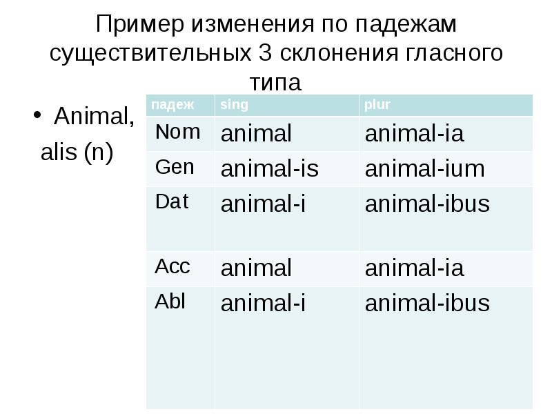 Склонение существительных в латинском